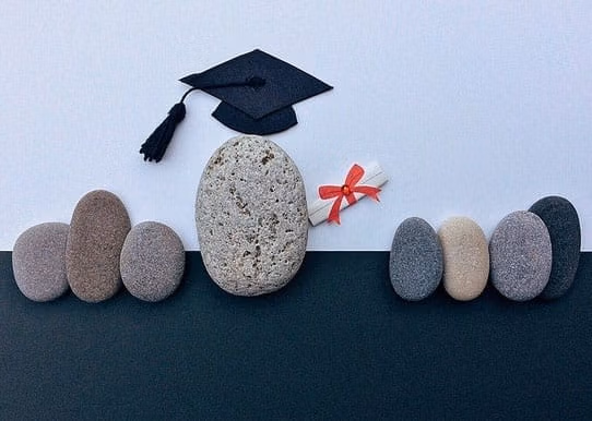 Online training diploma on Product environmental compliance RoHS REACH