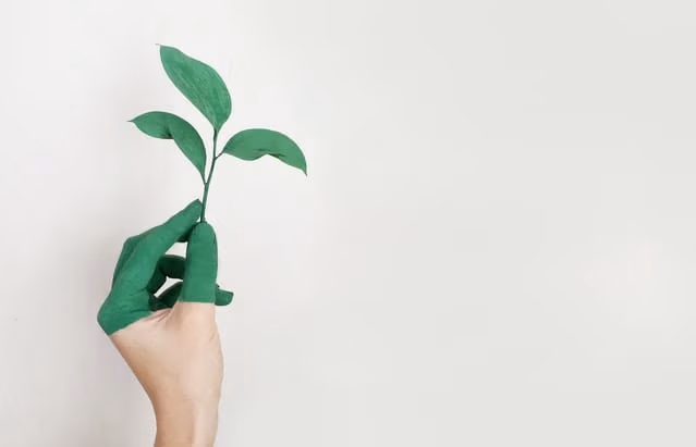 ESG meaning to investors