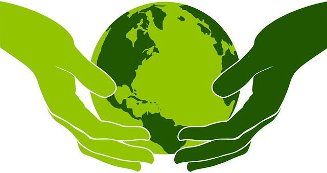 Corporate Social Responsibility Disclosure Environmental Responsibility