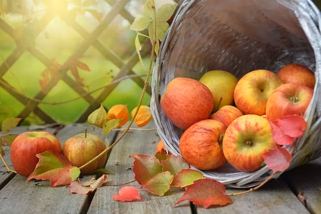 Apples Food testing