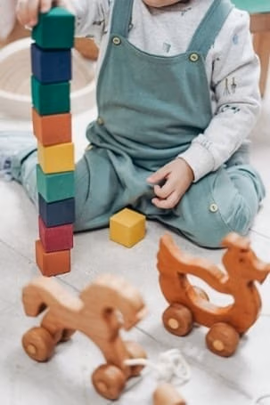 Toys - Chemicals of High Concern to Children
