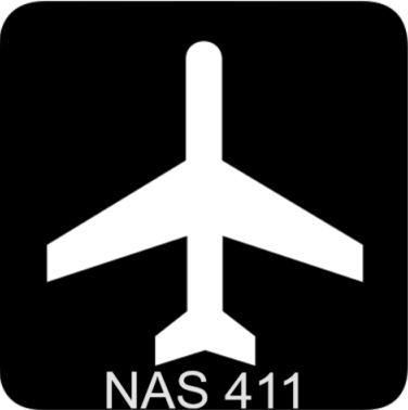 NAS411